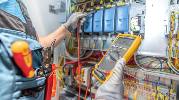 Best Electric Panel Repair  in Prospect Heights, IL